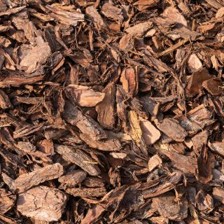 Extracto de corteza de pino